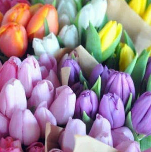 Meet your Posher, Tammie